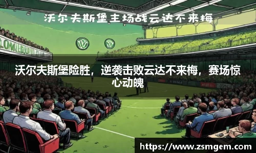 55世纪网址