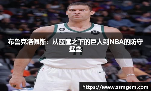 布鲁克洛佩斯：从篮筐之下的巨人到NBA的防守壁垒