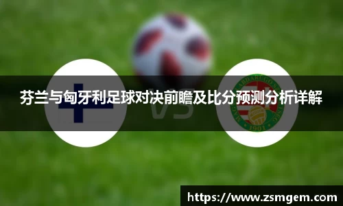 芬兰与匈牙利足球对决前瞻及比分预测分析详解